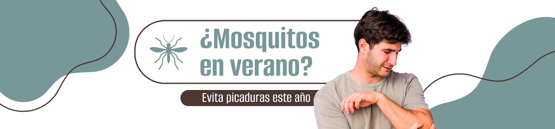C: ¿Mosquitos en verano? Evita picaduras este año