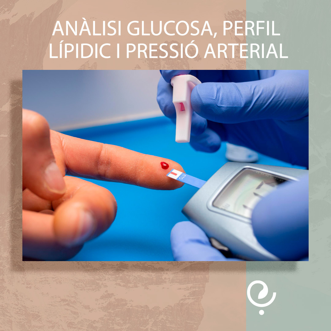 ANÀLISI GLUCOSA, PERFIL LÍPIDIC I PRESSI
