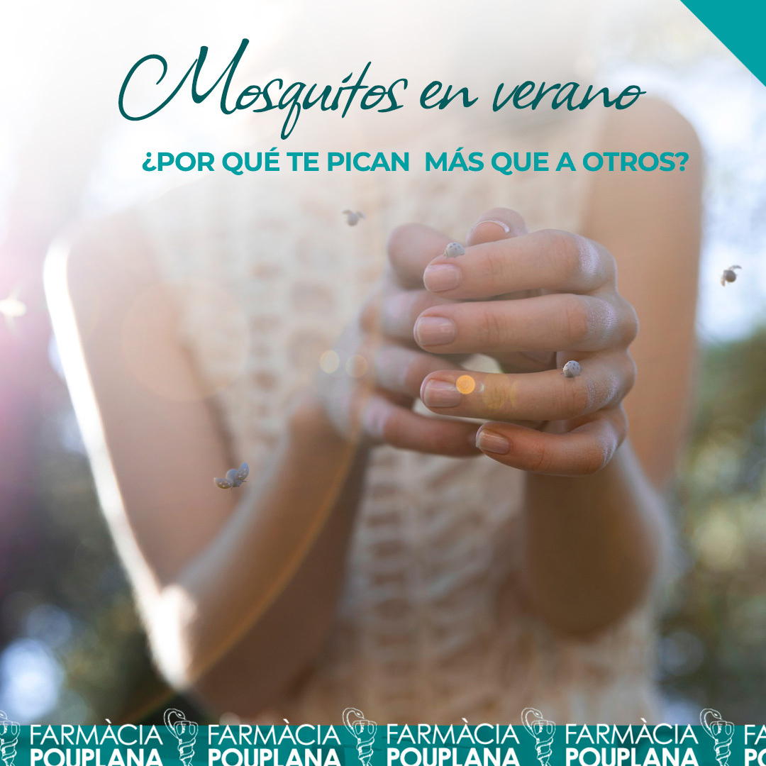 MOSQUITOS EN VERANO