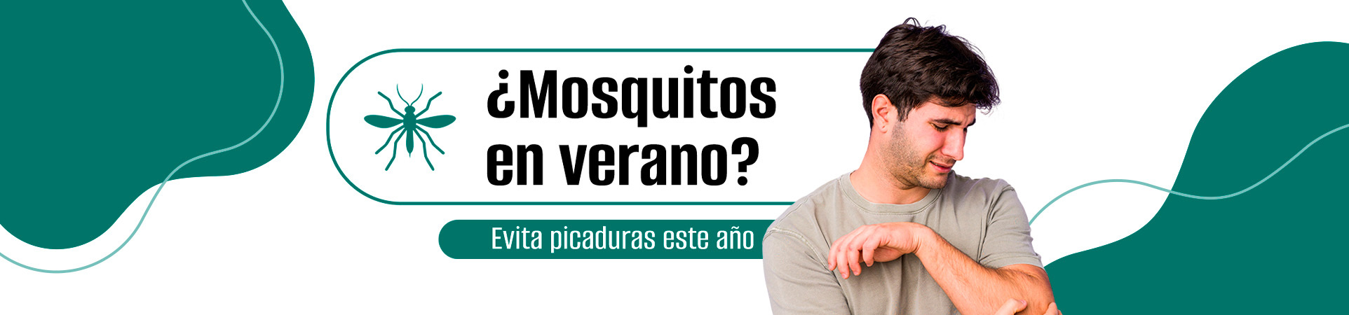 C: ¿Mosquitos en verano? Evita picaduras este año