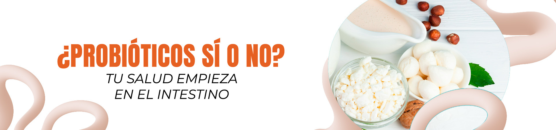 ¿Pobióticos si o no? tu salud empieza en el intestino