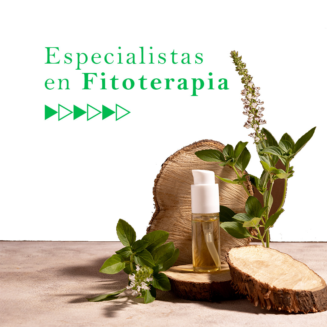 FITOTERAPIA