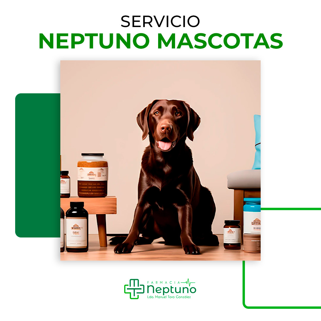 SERVICIO NEPTUNO