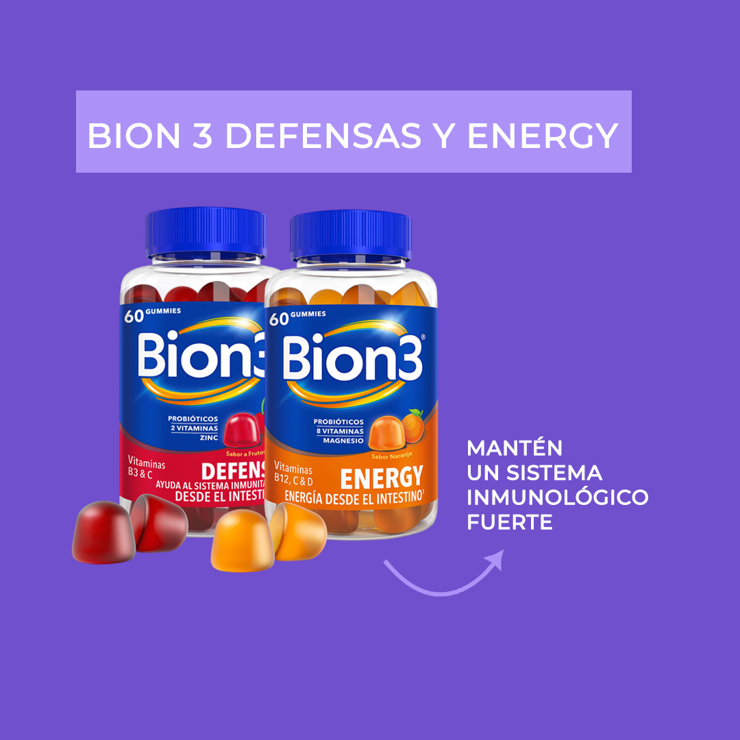 BION 3